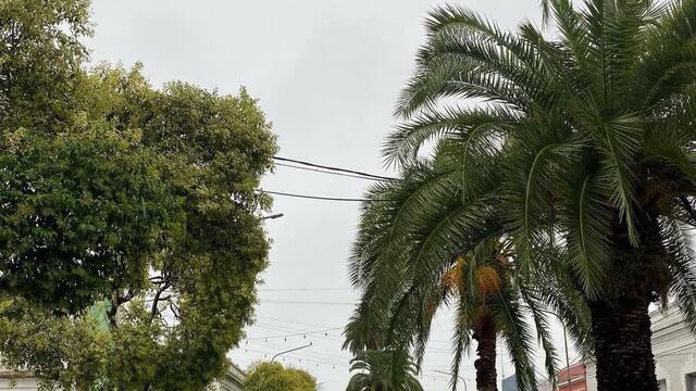 Gualeguaychú con lluvias. Foto: Web