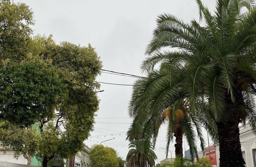 Cómo estará el clima esta semana en Gualeguaychú