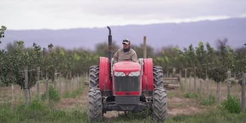 La actividad económica creció en el primer bimestre, pero debajo de los niveles que se encontraba en agosto del año pasado.
