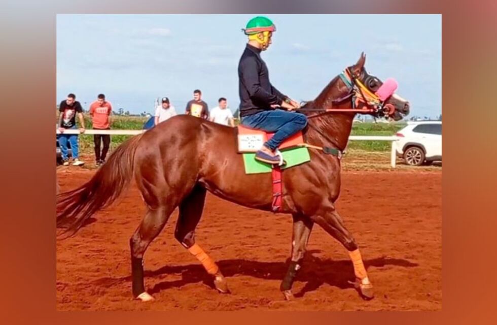Tragedia y apuestas ilegales en el Hipódromo de Posadas: una yegua murió en plena carrera y su jinete está internado
