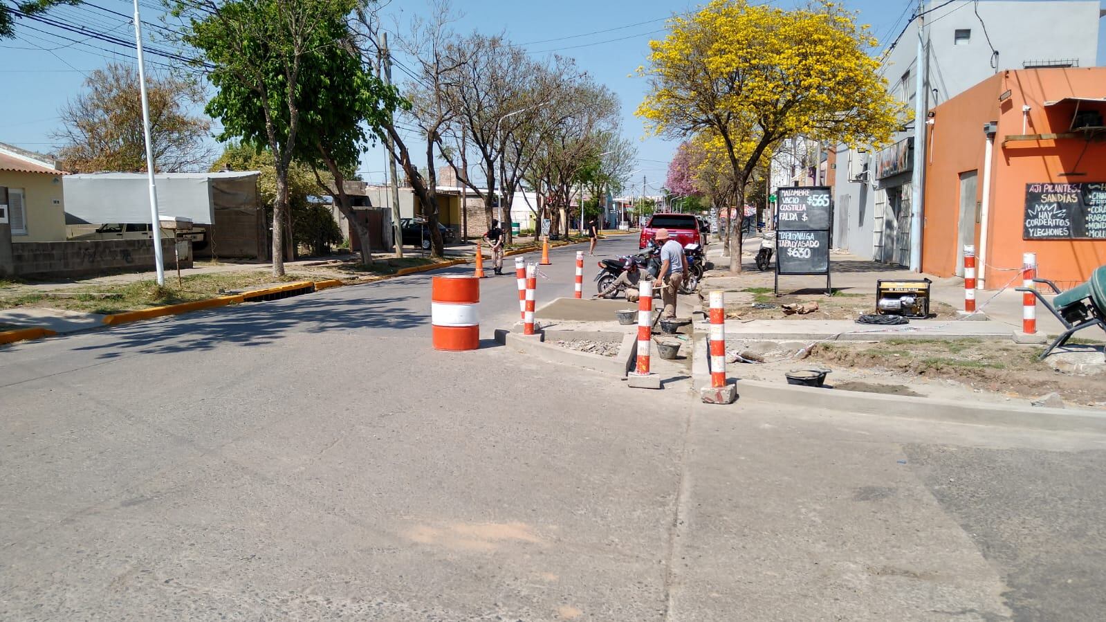 Las polémicas obras en Avenida Italia