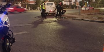 La mato habría intentado pasar al camión cuando se produjo el accidente. Gentileza Ministerio de Seguridad.