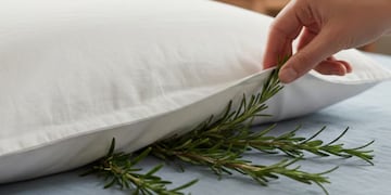 El poderoso efecto de poner romero bajo la almohada, según el Feng Shui.