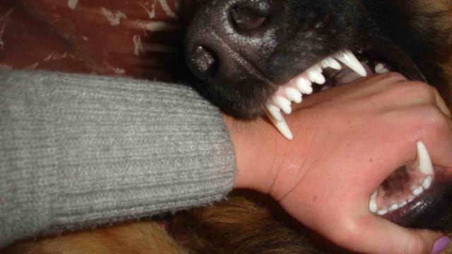 Ocurrió en Pilar. La víctima fatal tenía 55 años. (Imagen Ilustrativa)