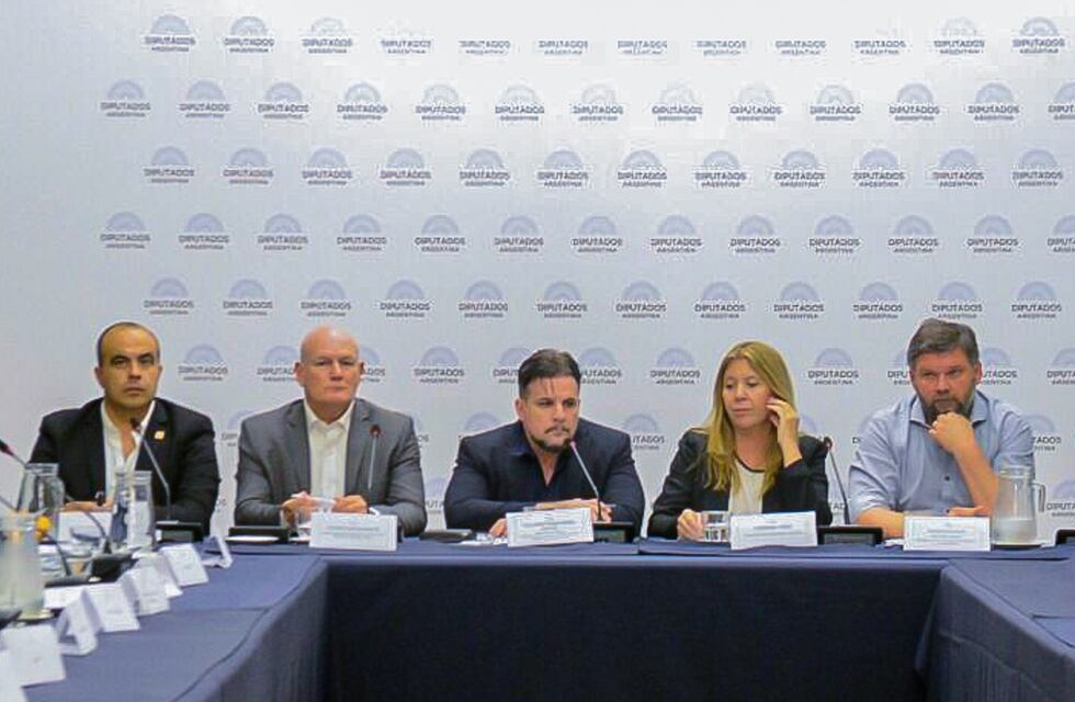 Se presentó el Plan Estratégico sobre Hidrógeno ante la Oficina Científica de Asesoramiento Legislativo