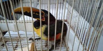 Bomberos Voluntarios de Eldorado realizaron un doble rescate.