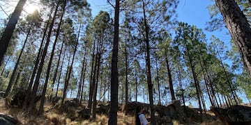 Senderos de trekking para principiantes en Córdoba.