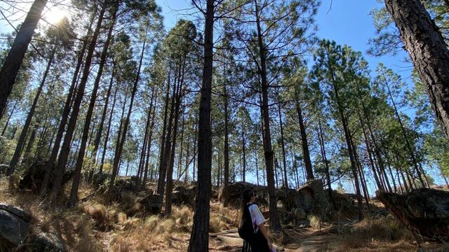 Senderos de trekking para principiantes en Córdoba.