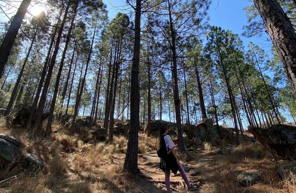 Paisajes únicos y cascadas escondidas en Córdoba: 4 senderos de trekking para principiantes