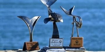 UNCuyo: “Like a las 10” obtuvo el Premio Ballena de Oro en Televisión 2020.