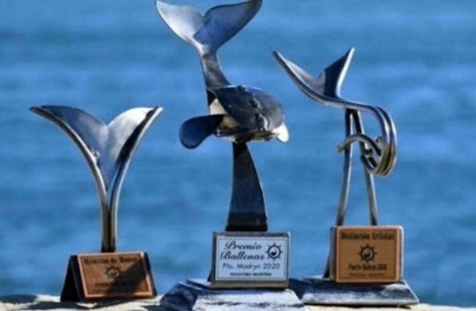 Premios Ballenas: la UNCuyo fue premiada con siete estatuillas y un Oro en televisión