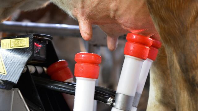 Tambo (imagen ilustrativa)