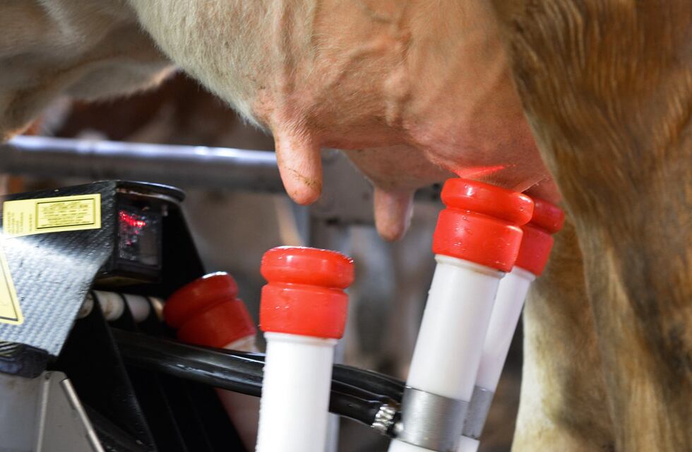 Asistencia financiera a tamberos afectados por la sequía