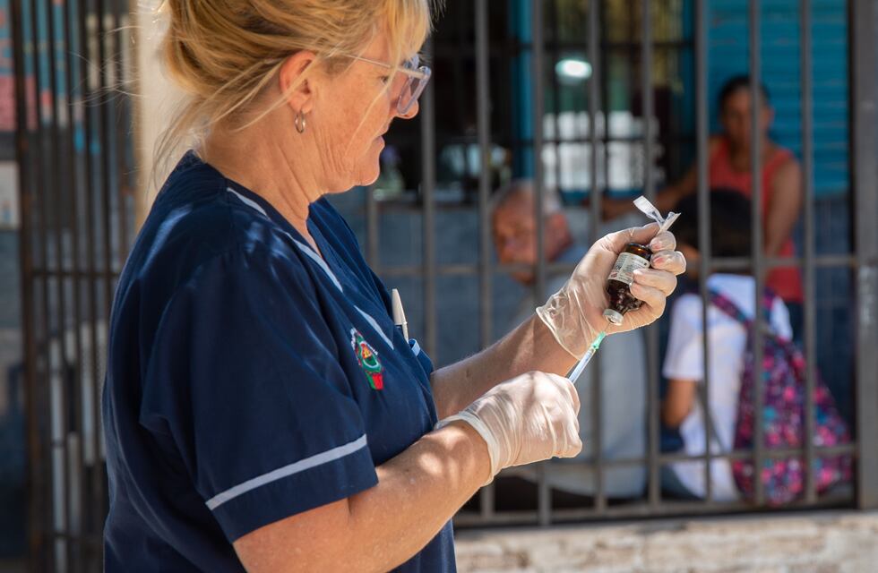 Concordia: veterinaria municipal dió a conocer un cronograma de vacunación y desparasitación