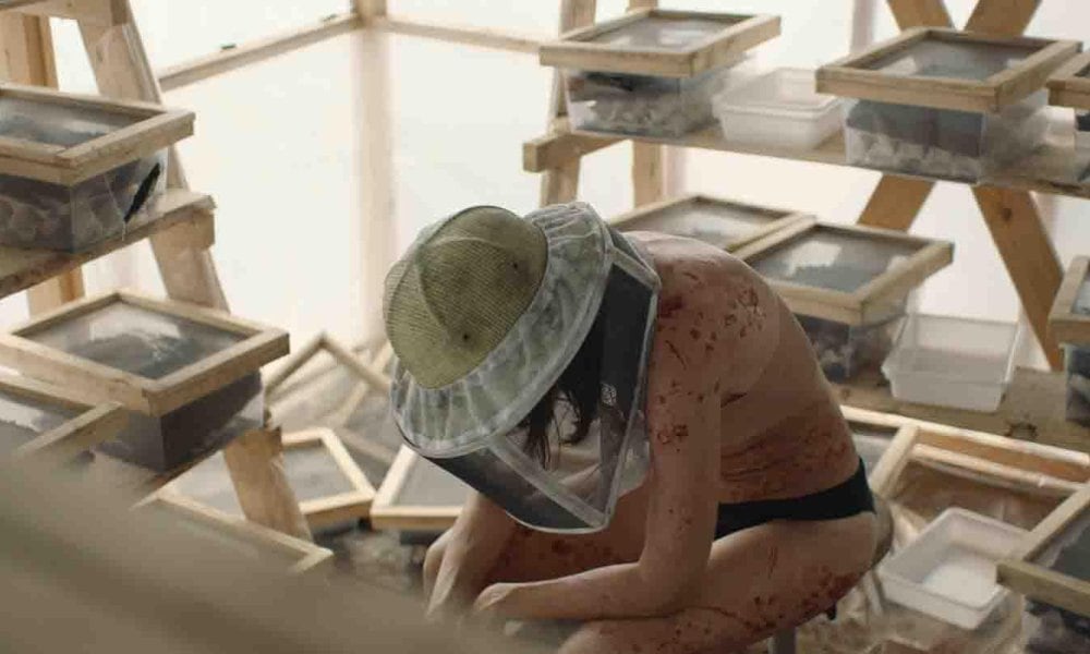 La miniserie es de origen alemán.