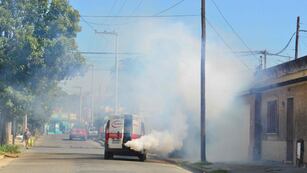 Los barrios de la ciudad de Córdoba donde se fumigará este lunes 22 de enero.