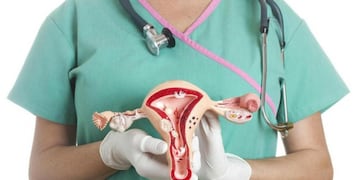 Incidencia. En Argentina, hay entre 2.500 y 3.000 nuevos casos de cáncer de ovario por año.