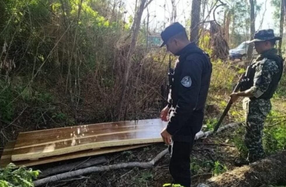 Desarticulan campamento de furtivos en Puerto Piray