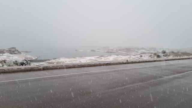 Nieve en Potrerillos