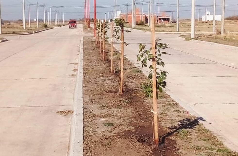 Desde el Área de Ambiente y Energía del Municipio plantaron 180 árboles entre nuestra ciudad y La Curva