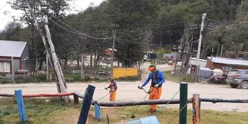 Ushuaia: realizaron un balance de las jornadas de limpieza de enero