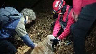 Rescataron a dos hombres y sus perros en el cerro Champaquí. (Foto: Policía de Córdoba)