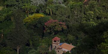 La reserva natural de Las Yungas podría ser reemplazada por un proyecto inmobiliario.