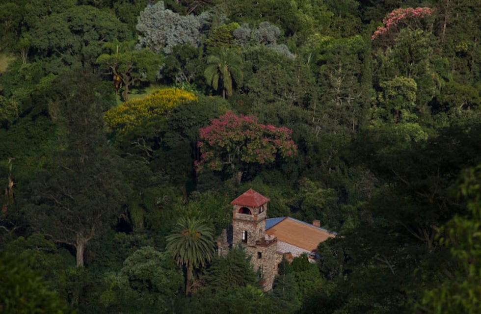 El pedido desesperado de Salta: los vecinos luchan para que no destruyan Las Yungas