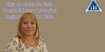 La ONG Liga de Consumidores y Usuarios; Amas de Casa de Mar del Plata participó de la audiencia convocada por la Secretaría de Energía de Nación