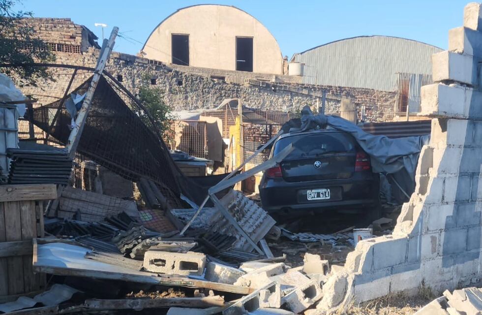 Tras el destrozo, Fundación Garra recupera su refugio: cómo siguen las obras y la mascota internada