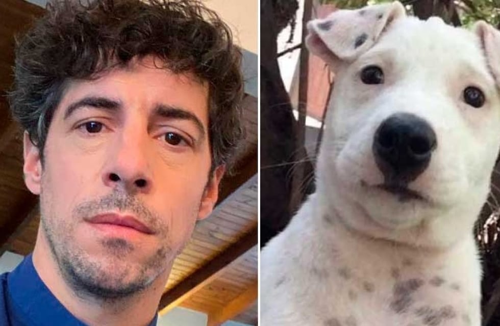 Esteban Lamothe ofrece recompensa por encontrar al perro que se parece a él: “Busco a mí yo perro”