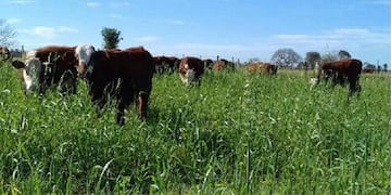 Murió un reconocido empresario de Córdoba.