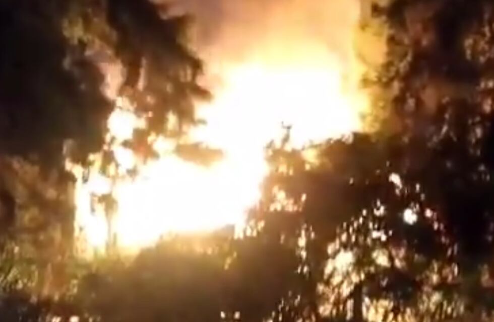 Un incendio en el parque Scalabrini Ortiz sorprendió a vecinos y visitantes