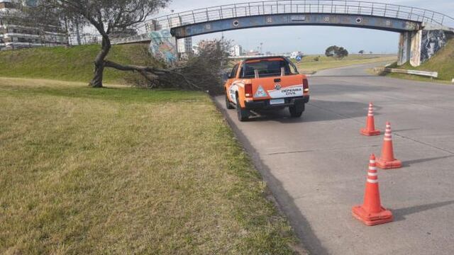 Se registraron en promedio 60 mm de lluvias en todo el partido. No hubo evacuados (foto de archivo)