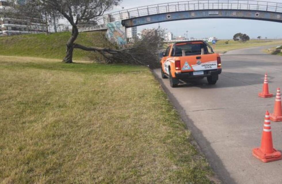 Defensa Civil brindó un balance de las consecuencias del temporal