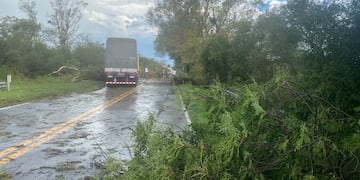 Temporal en La Francias, El Tío y en cercanías