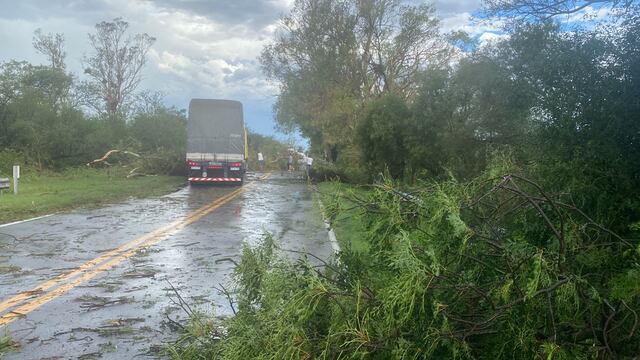 Temporal en La Francias, El Tío y en cercanías