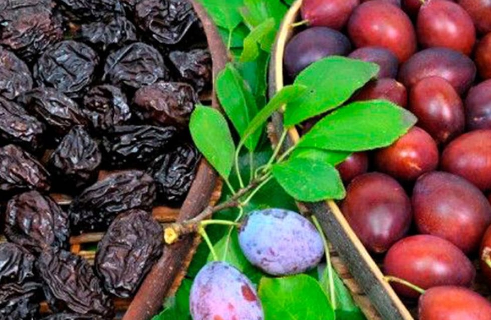 El cultivo de ciruelas en Argentina