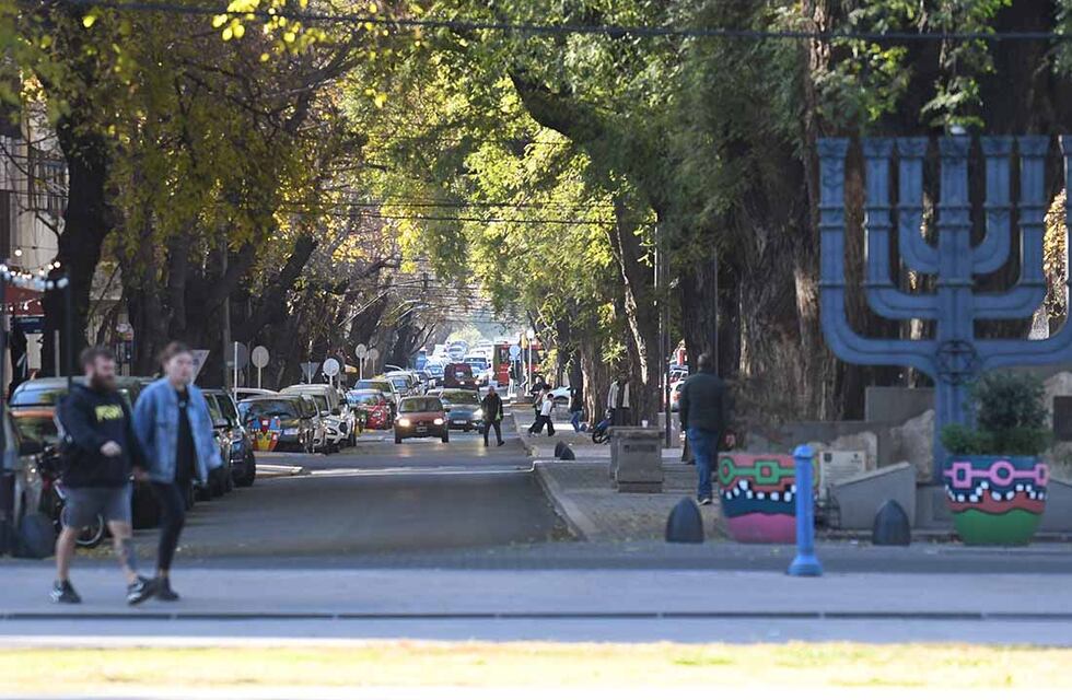 Mendoza hace “endoterapia de forestales” en sus calles: de qué se trata, para qué sirve y dónde se hará