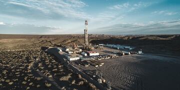 Los exóticos animales que se le aparecieron al empleado neuquino.