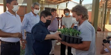 Entregaron plantines a productores de Eldorado