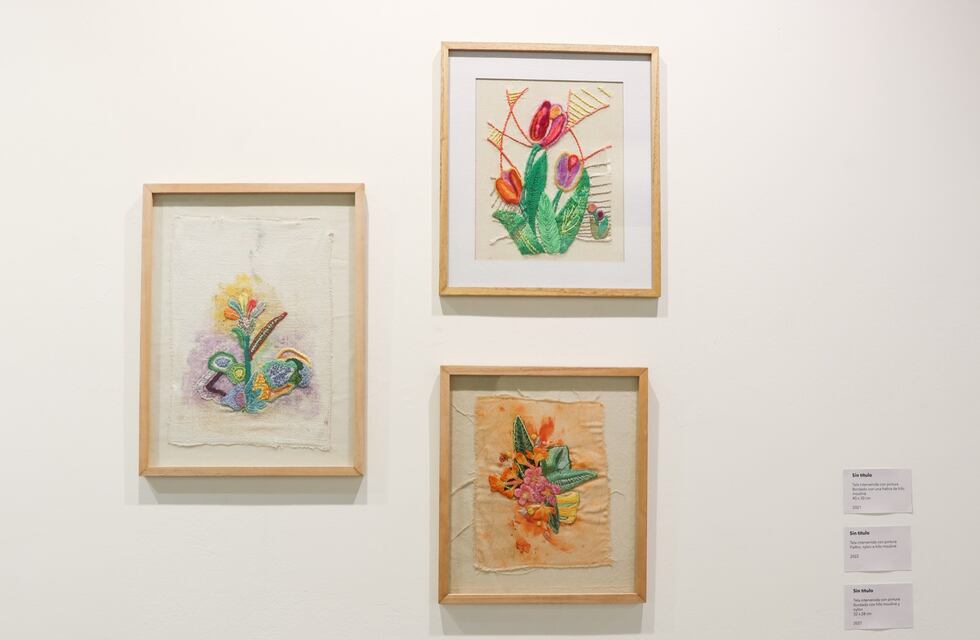 Visitas acompañadas con los artistas Peirone, Borletto y Menardi