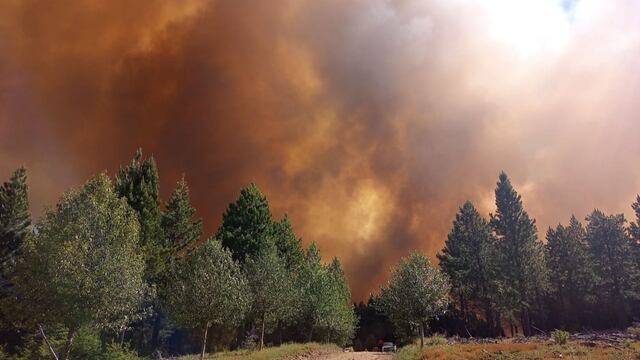 El incendio forestal en la zona de Aluminé no da tregua.