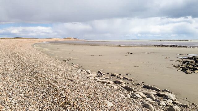 Se establecieron tres sectores de playa con protección específica para aves migratorias en RGA
