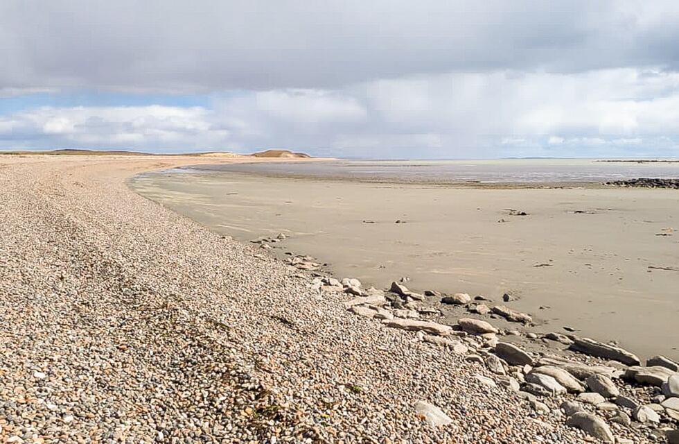 Río Grande: se establecieron tres sectores de playa con protección específica para aves migratorias