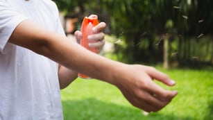 Cómo preparar un repelente casero contra el dengue, según la Inteligencia Artificial.