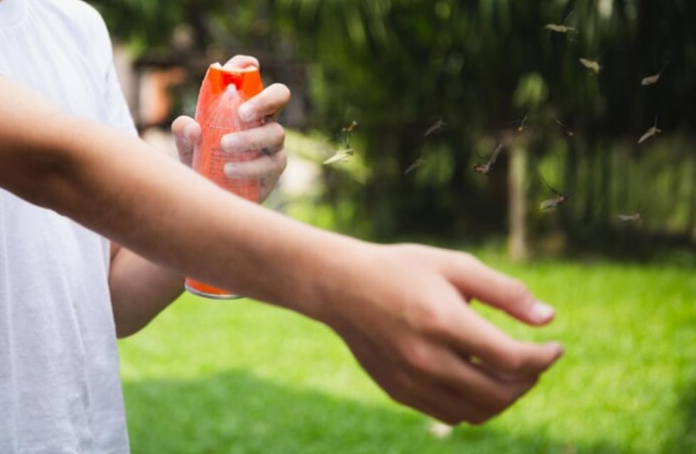 Cómo preparar un repelente casero contra el dengue, según la Inteligencia Artificial