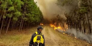 Hay un detenido acusado de provocar un foco de incendio en Corrientes.