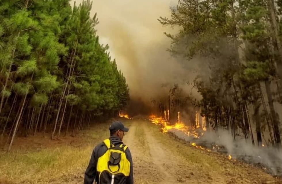 Incendios en Corrientes: el fuego se ve desde Brasil