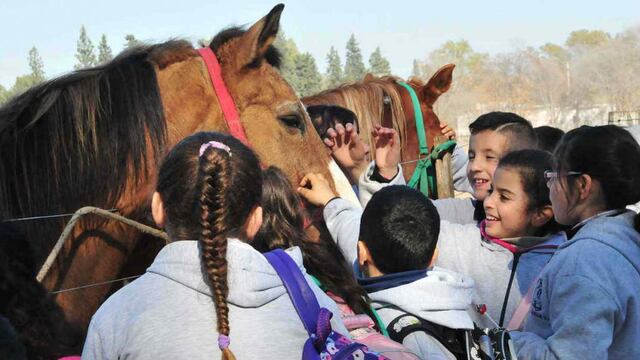Expo Rural